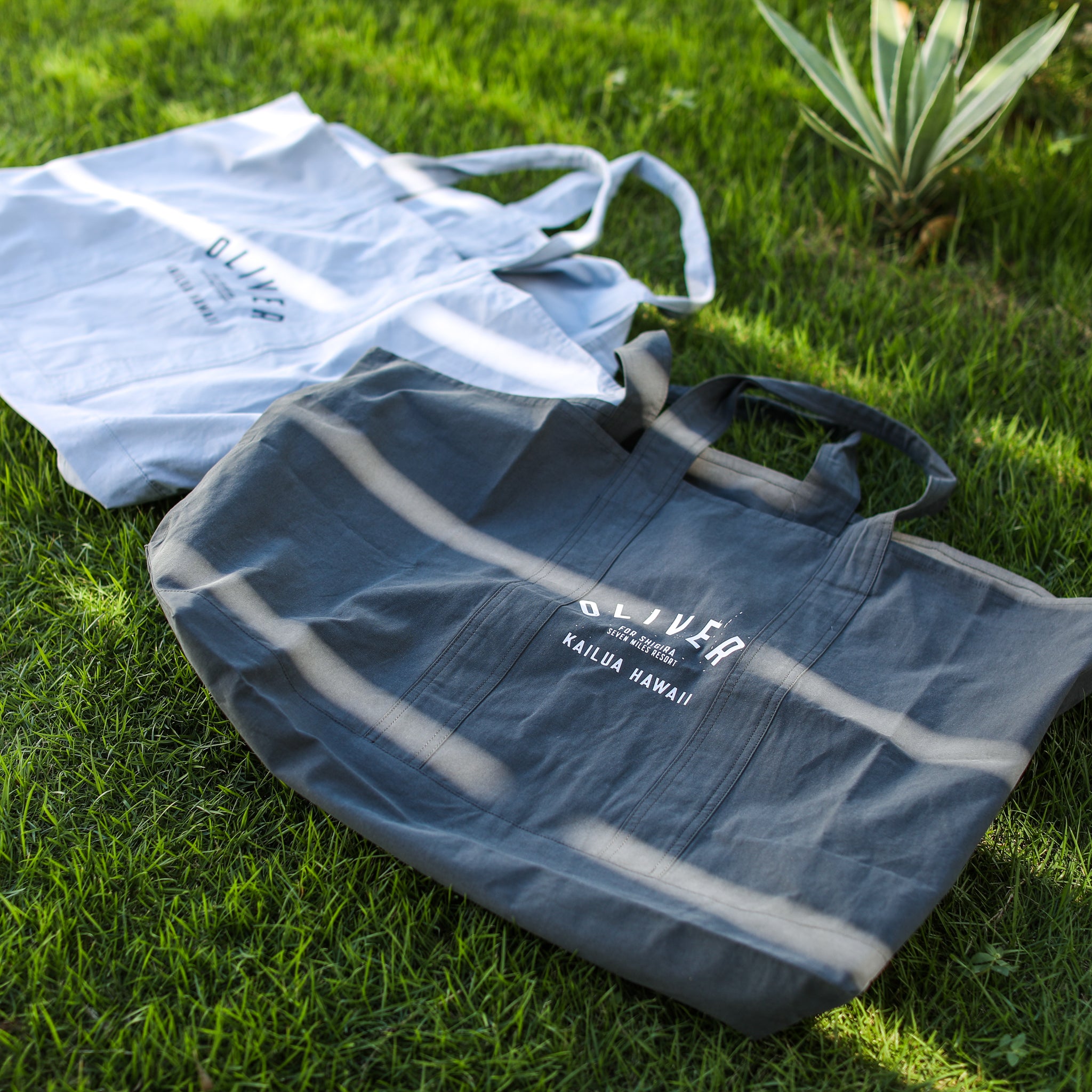 Olive&Oliver×SHIGIRA Canvas Big Tote – SHIGIRA SEVEN MILES RESORT