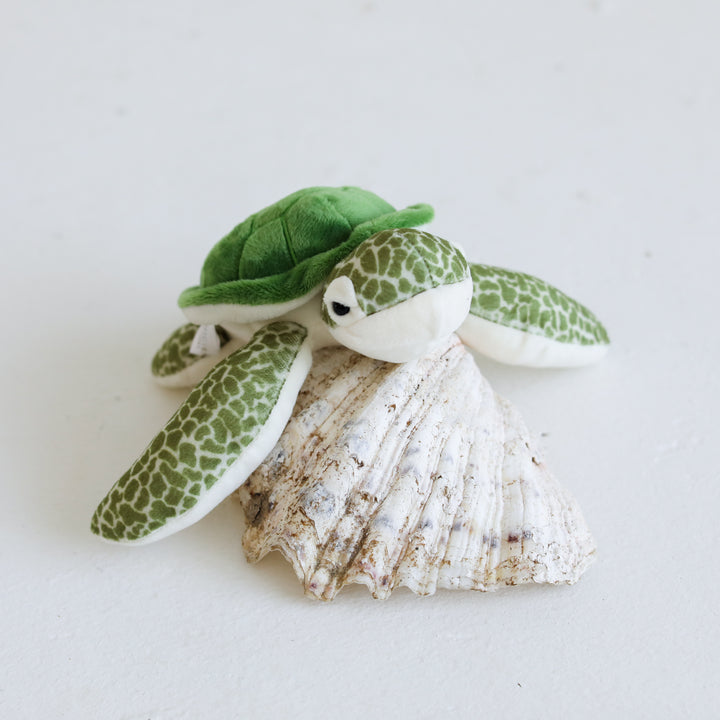 SHIGIRA SEVEN MILES RESORT Original  turtle plush